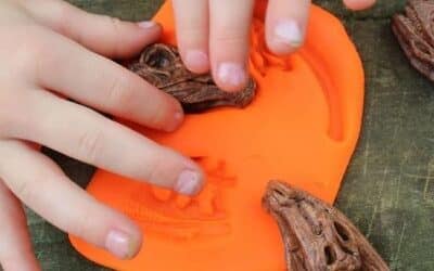 Dinosaur Fossils In Playdough