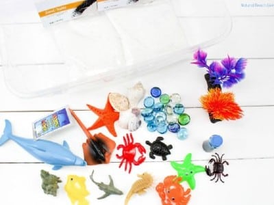 ocean sensory bin toddlers wonder noggin