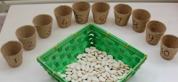 beans and flower pots spring math activities for preschoolers wonder noggin