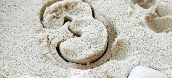 ocean counting activity counting math activities for preschoolers wonder noggin