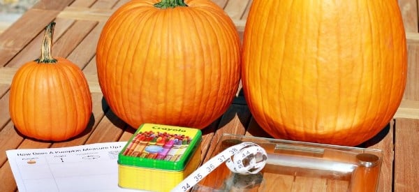 pumpkin measurement math activities preschoolers fall wonder noggin