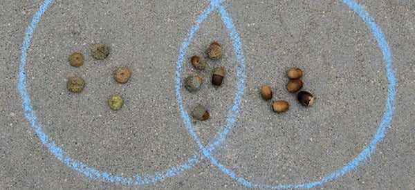 acorn counting math fall preschool activities wonder noggin