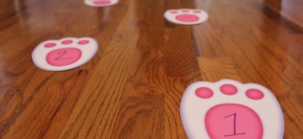 bunny hopping spring math activities for preschoolers wonder noggin