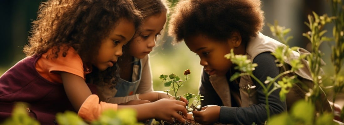 kids learn photosynthesis wonder noggin