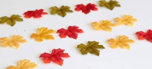 leaf patterns fall math activities preschool wonder noggin