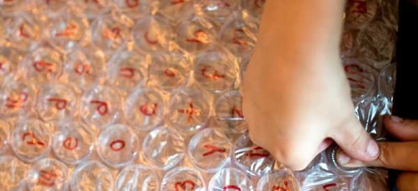 learning bubble wrap number math activities for preschoolers wonder noggin
