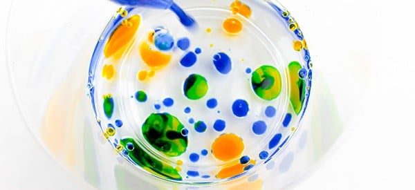 oil water water science experiments for preschoolers wonder noggin