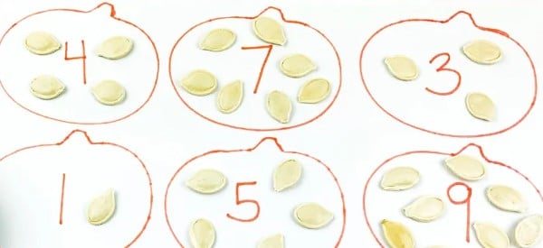 preschool pumpkin seed fall math activities preschoolers wonder noggin