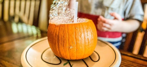pumpkin bubbles fall science experiments for preschoolers wonder noggin