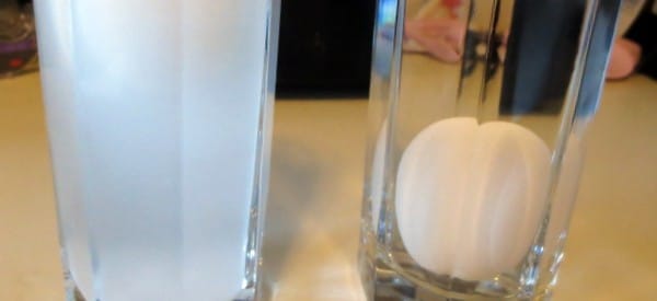saltwater egg water science experiments for preschoolers wonder noggin