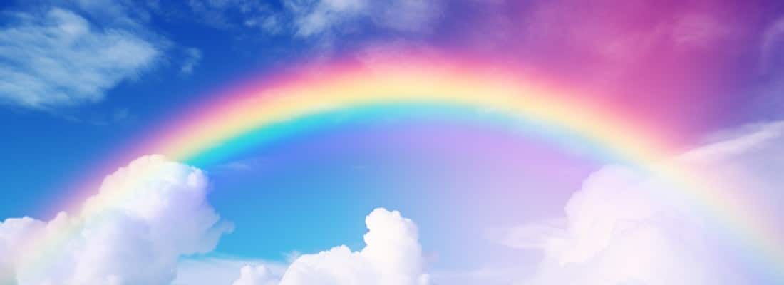 short parent guide about rainbows wonder noggin