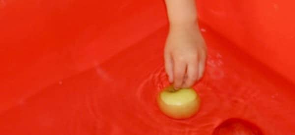 sink or float fall science experiments for preschoolers wonder noggin