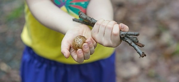 stem hike easy stem activities preschoolers wonder noggin