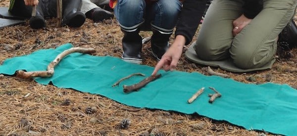 sticks measurement summer math activities for preschoolers wonder noggin