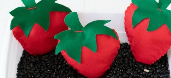 strawberry summer math activities for preschoolers wonder noggin