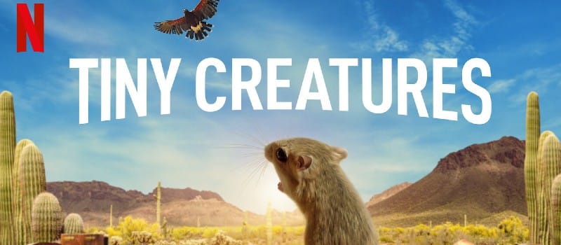 tiny creatures science shows for kids wonder noggin