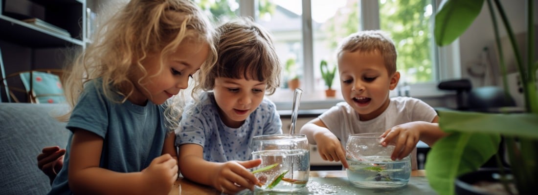water science experiments for preschoolers wonder noggin